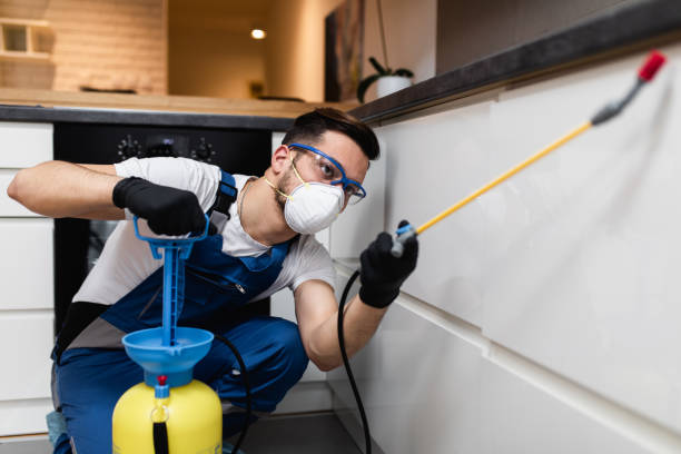 Best Pest Prevention Services  in Tome, NM