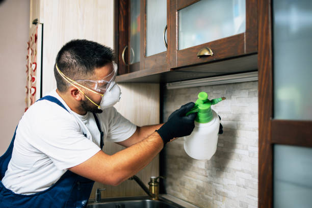 Professional Pest Control in Tome, NM