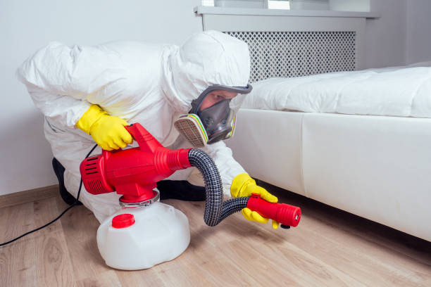 Best Pest Removal Services  in Tome, NM