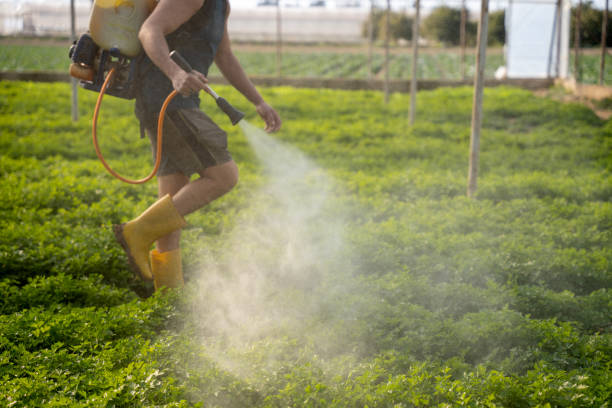 Best Pest Control for Restaurants  in Tome, NM