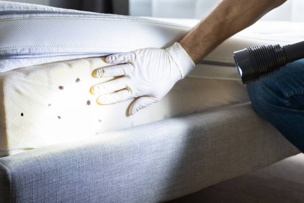 Best Commercial Pest Control Services  in Tome, NM