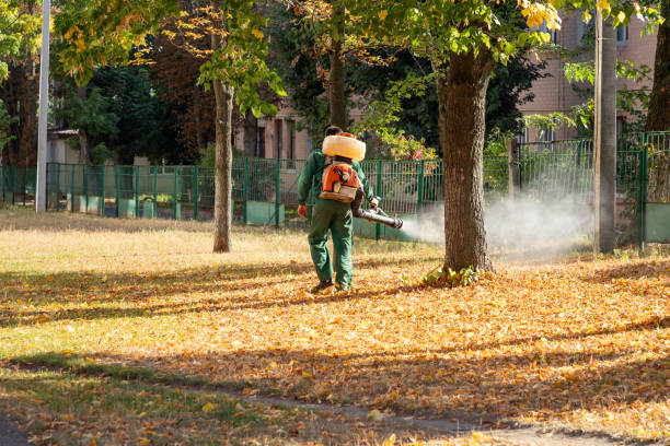 Pest Control for Restaurants in Tome, NM