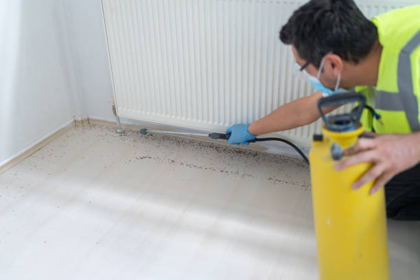 Best Exterminator Services  in Tome, NM